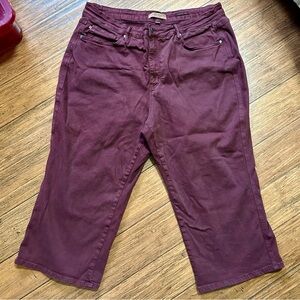 Judy Blue Oxblood Crop Jeans 24W